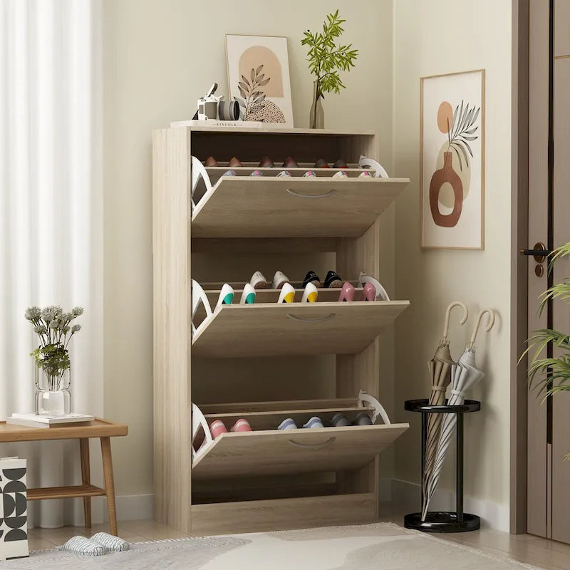 Meuble à chaussures moderne pour entrée, meuble à chaussures de sol à 2 niveaux
